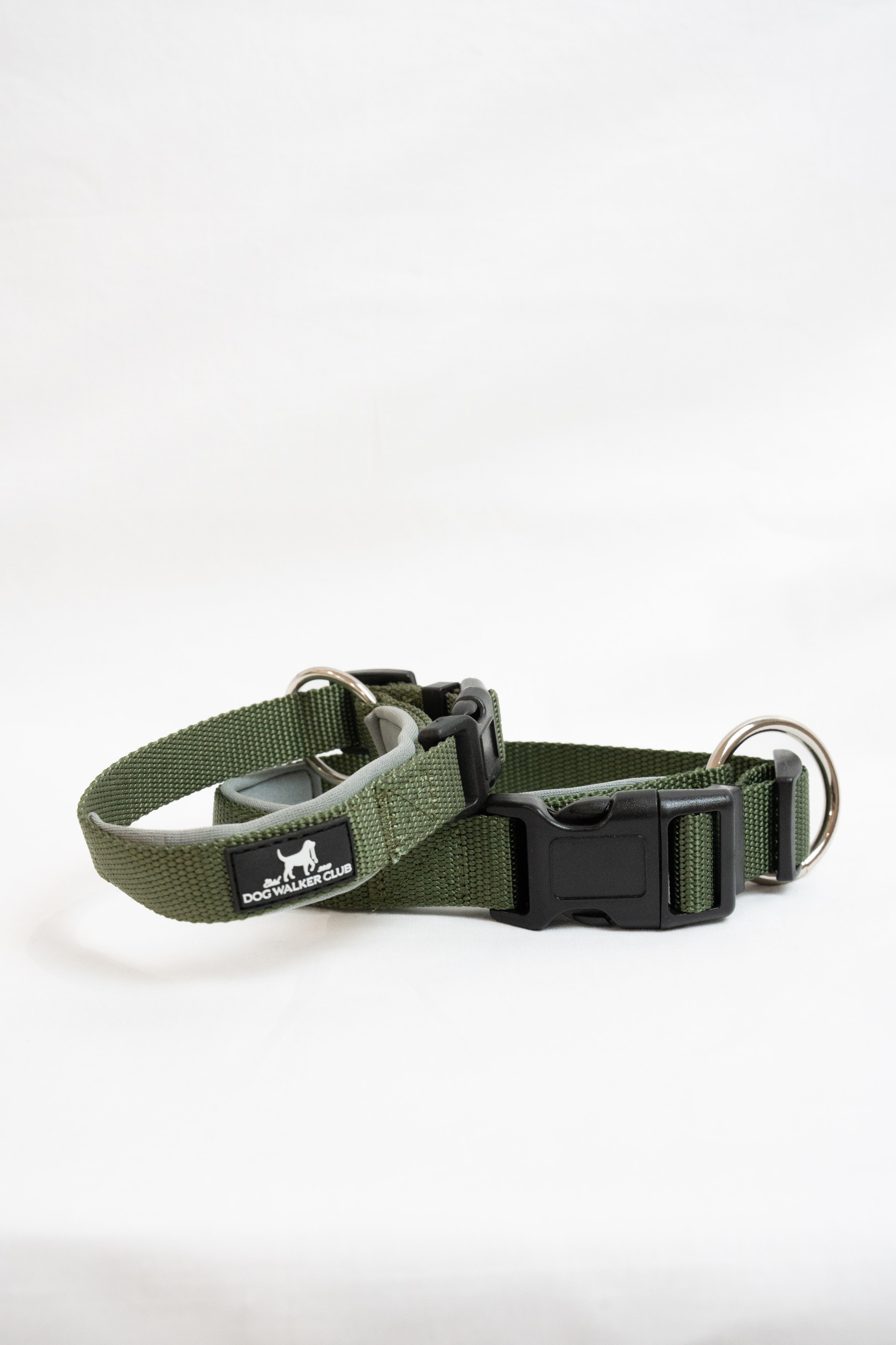 Collare verde chiusura standard