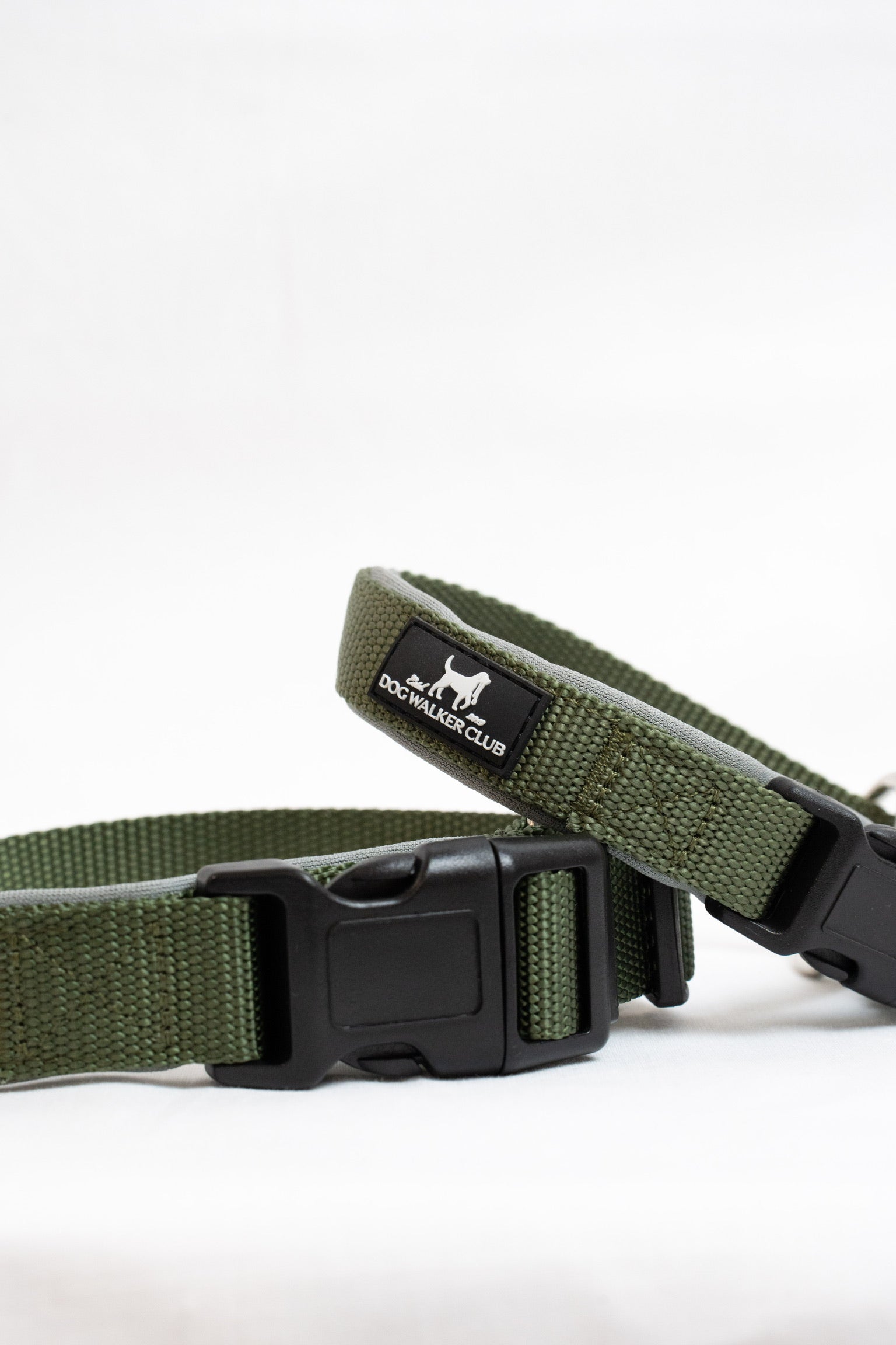 Collare verde chiusura standard