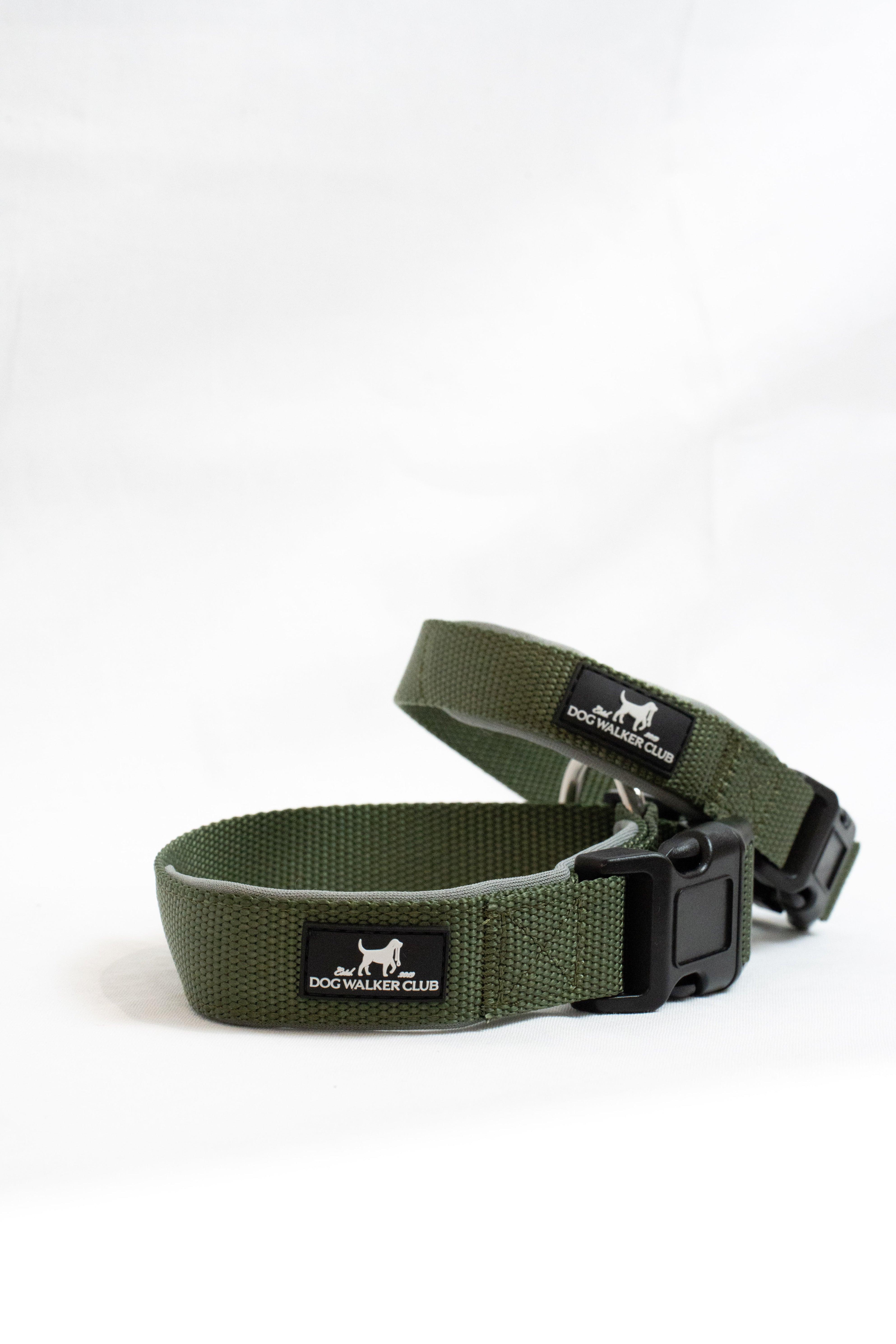 Collare verde chiusura standard