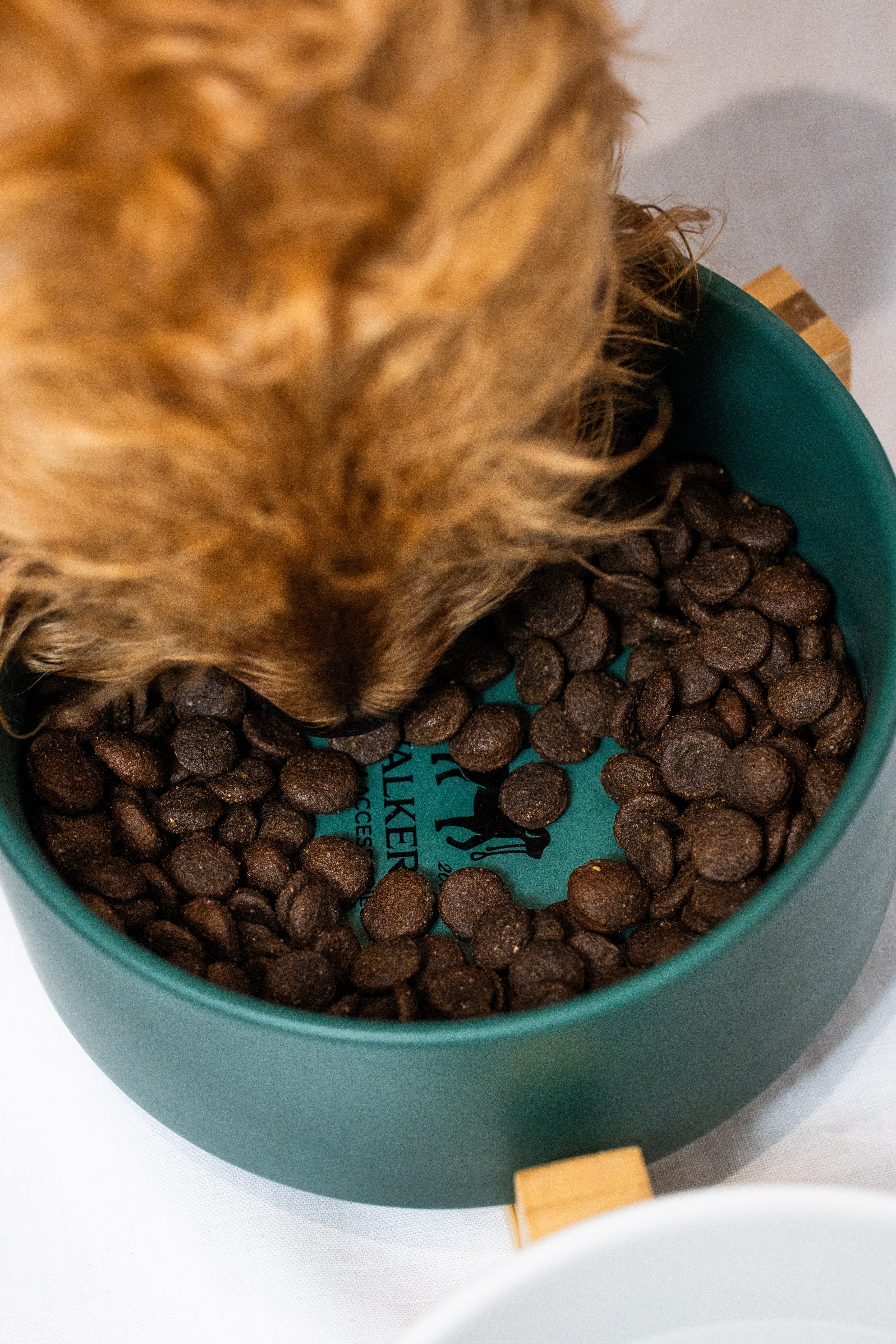 Ciotola Ceramica Doppia