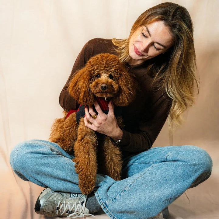 Shooting Fotografico per Cani