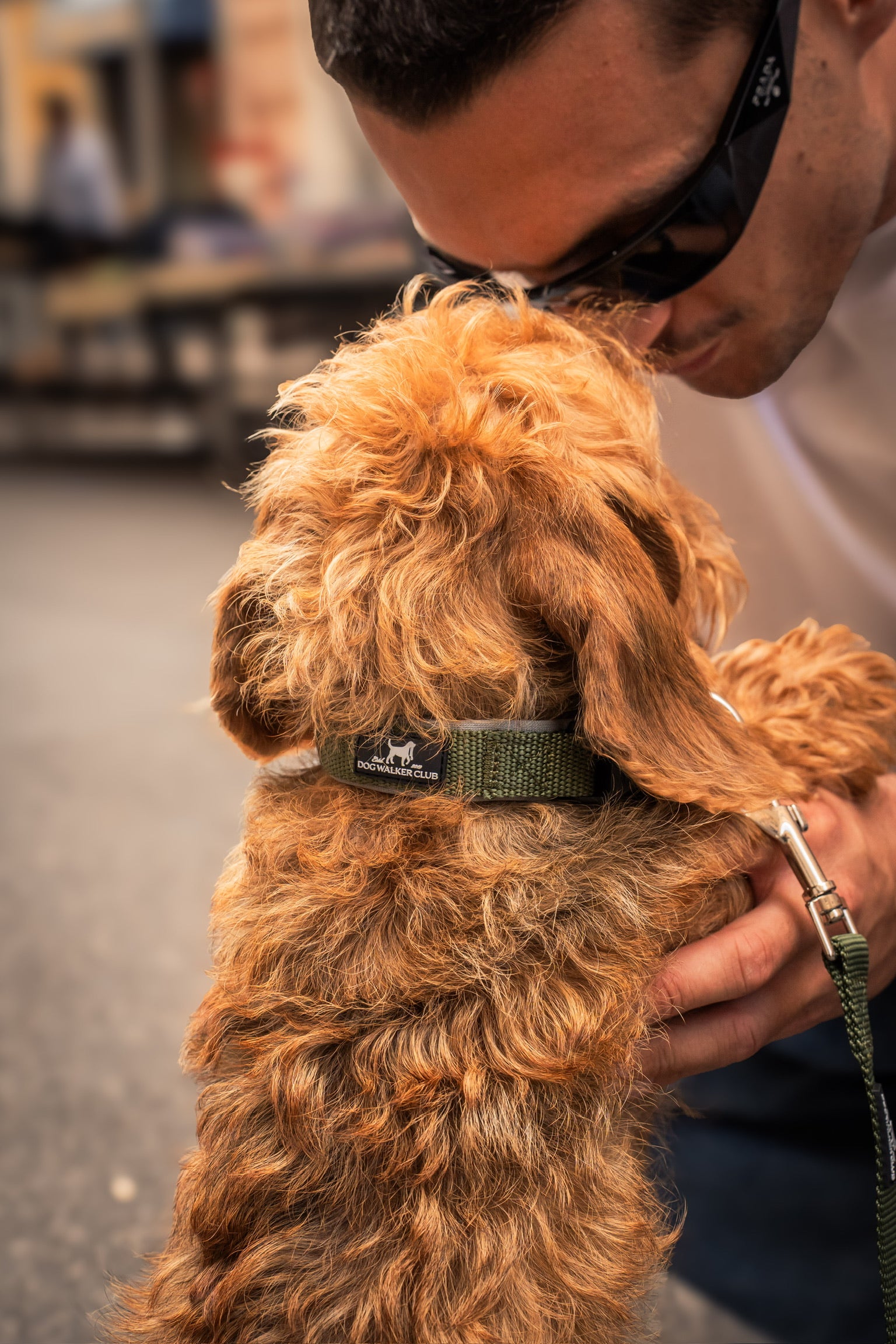 Collare verde chiusura standard